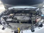 ALFA ROMEO Stelvio 2.2 Turbodiesel 190 CV AT8 Q4 Business (14/16)